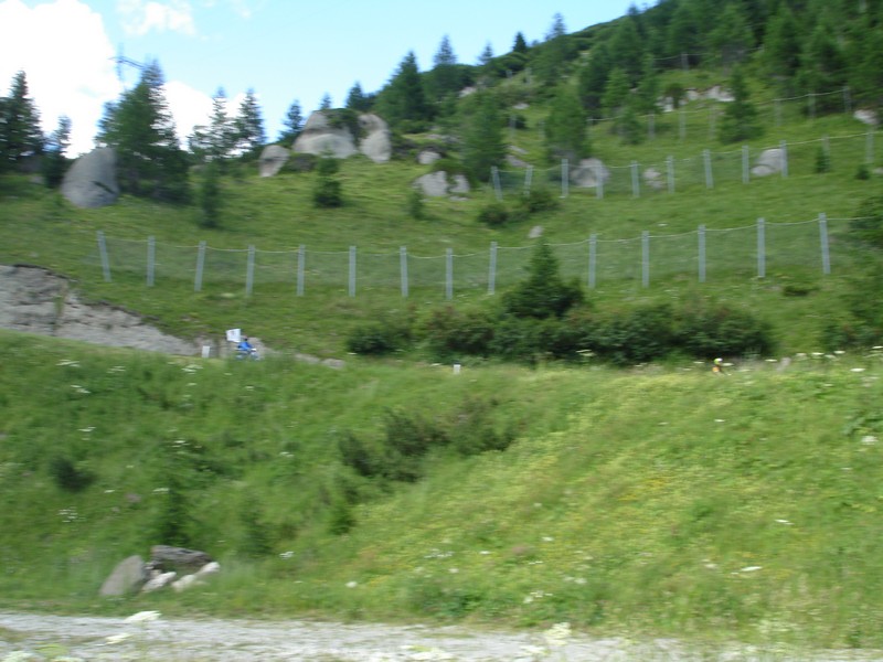 DSC00262.jpg
