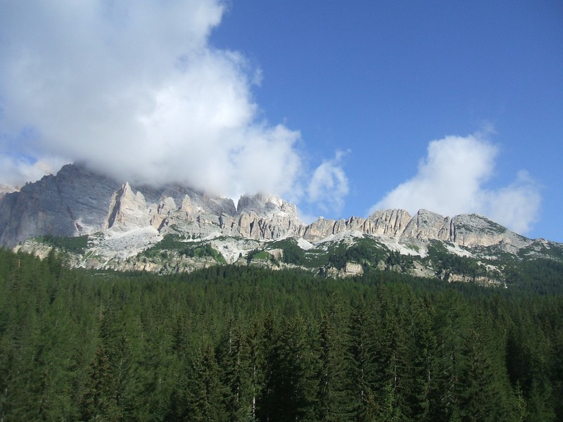 DSCF8221.jpg