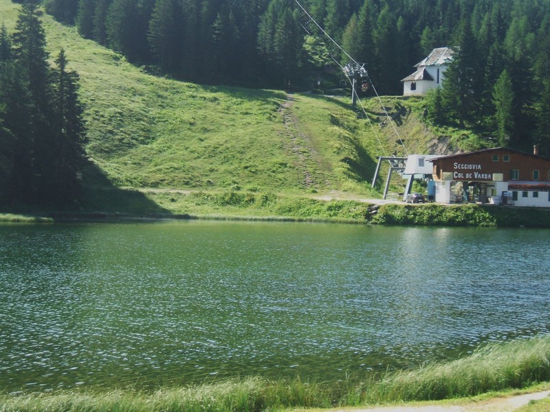 DSCF8228.jpg