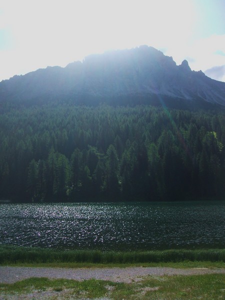 DSCF8230.jpg