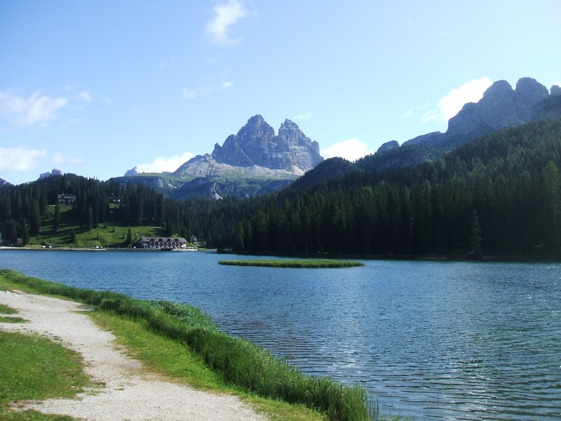 DSCF8231.jpg