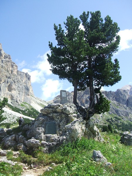 DSCF8273.jpg