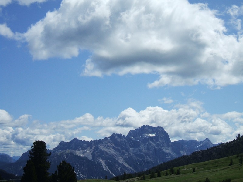 DSCF8297.jpg