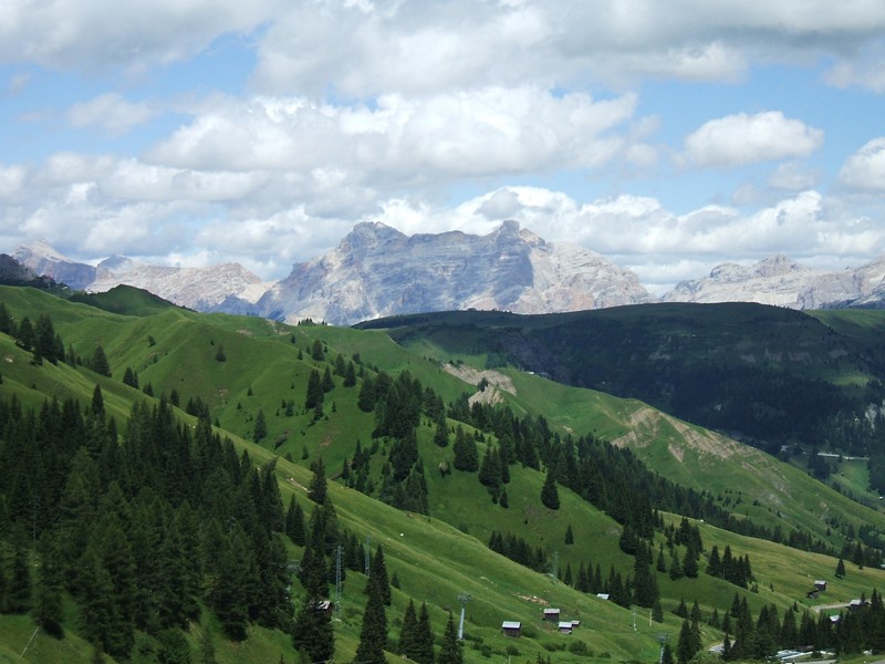 DSCF8331.jpg