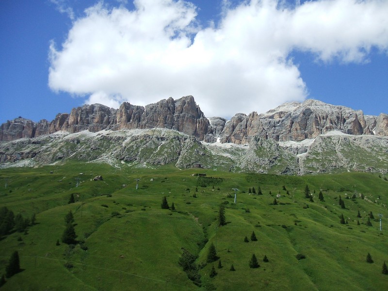 DSCF8335.jpg