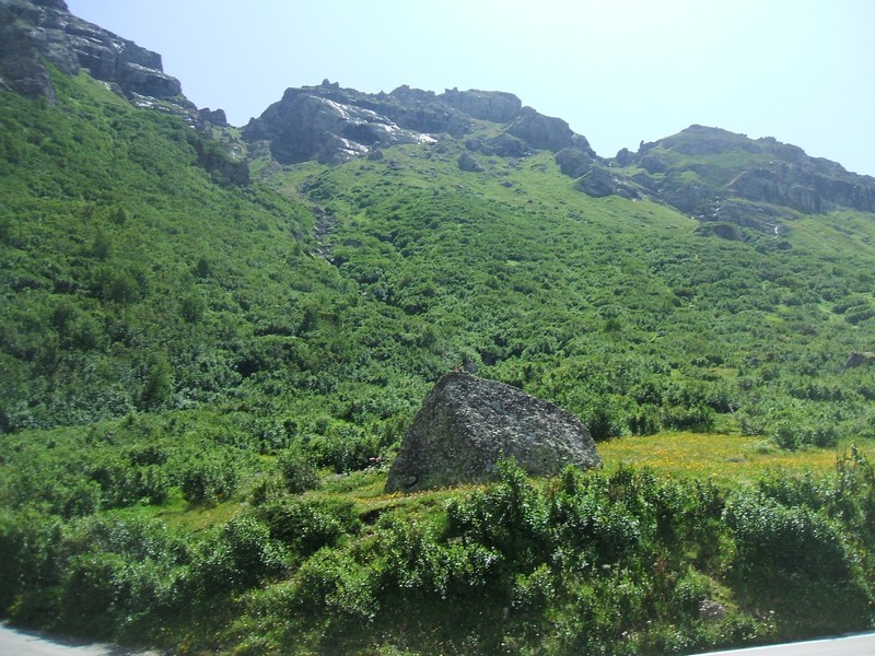 DSCF8338.jpg