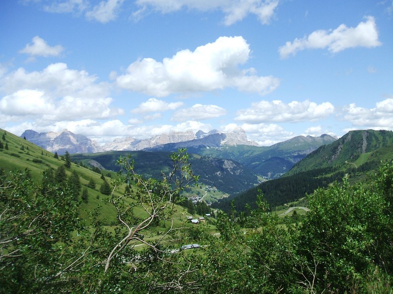DSCF8344.jpg
