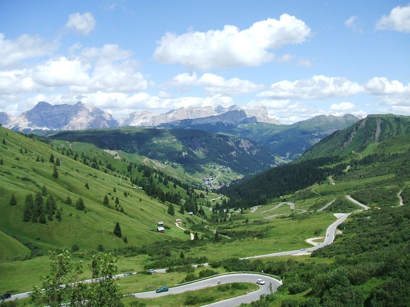 DSCF8347.jpg