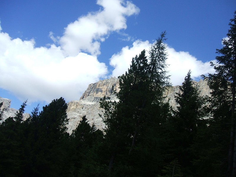 DSCF8356.jpg