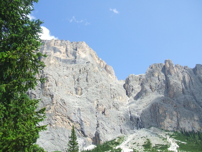 DSCF8361.jpg