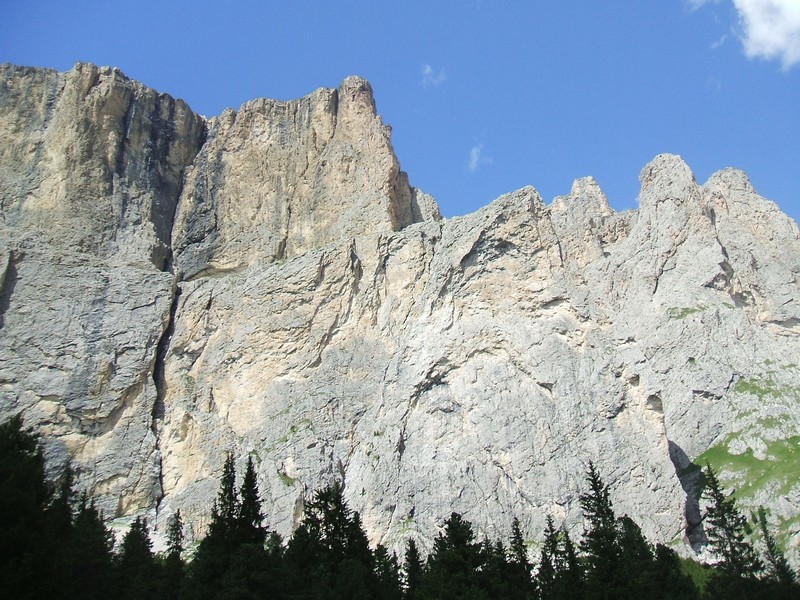DSCF8363.jpg