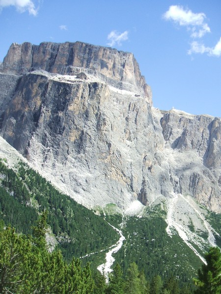 DSCF8365.jpg