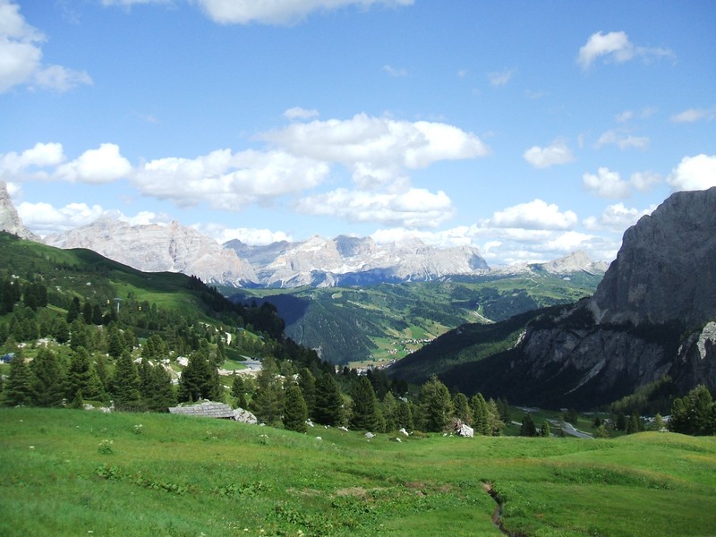 DSCF8384.jpg