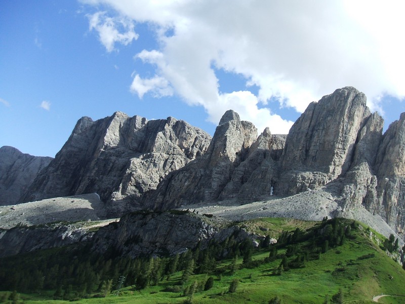 DSCF8385.jpg