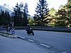DSC00044.jpg