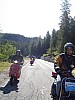 DSC00094.jpg