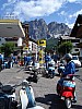 DSC00100.jpg