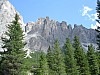 DSC00202.jpg