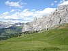 DSC00211.jpg
