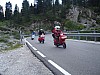 DSC00231.jpg