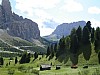 DSC00238.jpg