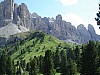 DSC00247.jpg