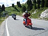 DSC00252.jpg
