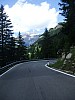 DSCF8323.jpg