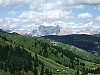 DSCF8331.jpg