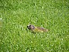Dolomiti Tours 25 lug,2009 373.jpg