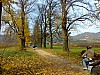 15112009040.jpg