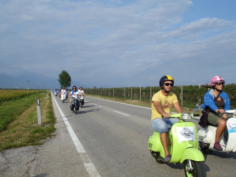 DSC01316.jpg
