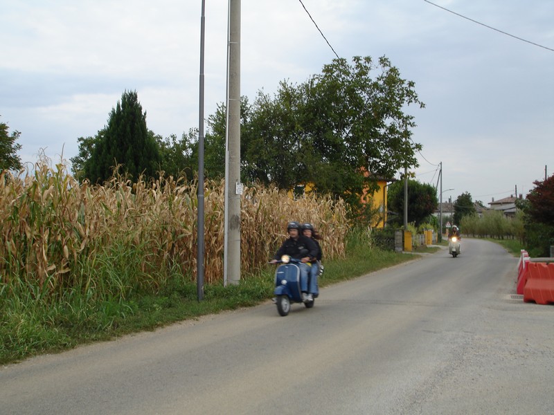 DSC00977.jpg