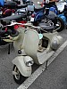 DSC00951.jpg