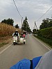 DSC00974.jpg