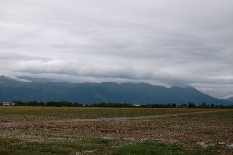 CIMG0587.jpg