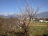 Foto1057.jpg