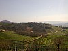 Foto1103.jpg