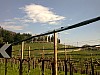 Foto1111.jpg