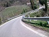 Foto1113.jpg