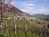Foto1121.jpg