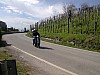 Foto1152.jpg