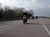 Foto1161.jpg